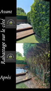 Photo de galerie - Rabattage d’une haie sur un côté pour gagner de la place 