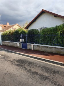 Photo de galerie - Taille de haie