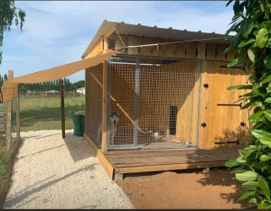 Photo de galerie - Garde chien