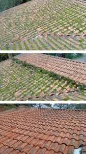Photo de galerie - Enlèvement manuel de grosses mousses sur toiture. 