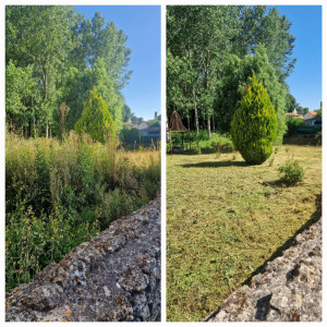 Photo de galerie - Débroussaillage 

