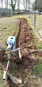 Photo de galerie - Labourage de terrain avec motoculteur 