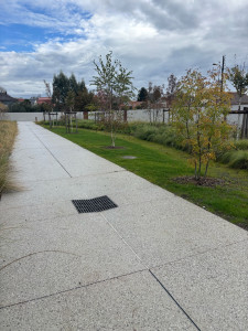 Photo de galerie - Plantation / gazon / allée