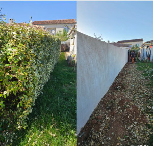 Photo de galerie - Retiré une haie 
