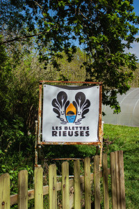 Photo de galerie - Création de logo