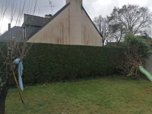 Photo de galerie - Taille de haie
