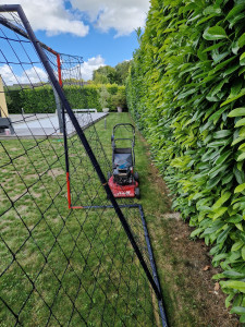 Photo de galerie - Tonte de pelouse plus Débroussailler 