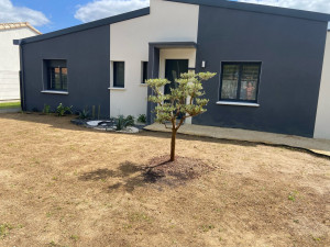 Photo de galerie - Terrassement et plantation d’un arbre pour un particulier 