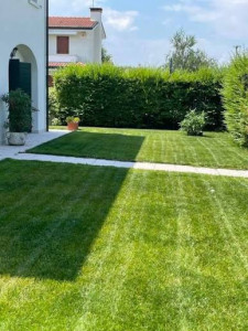 Photo de galerie - Tonte pelouse 