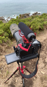 Photo de galerie - Matériel utilisé pendant les tournages (il s'agit d'une photo d'illustration ne présentant pas tout le matériel que je possède)