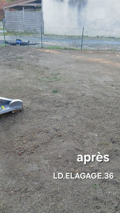 Photo de galerie - Elagage et coupe d'arbres