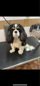 Photo de galerie - Uma ❤️