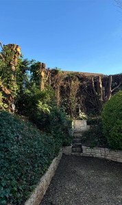 Photo de galerie - Elagage d'arbres 