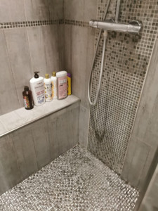 Photo de galerie - Salle de bain nickel