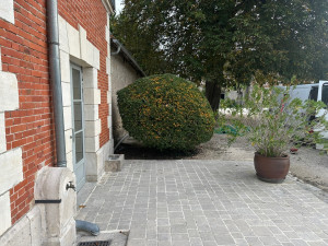 Photo de galerie - Taille de haies et d'arbustes