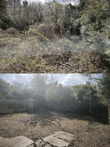 Photo de galerie - Débroussaillage au disque 