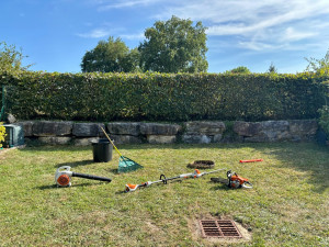 Photo de galerie - Taille de haie 