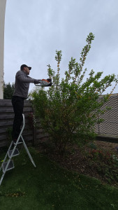 Photo de galerie - .