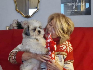 Photo de galerie - Garde animaux