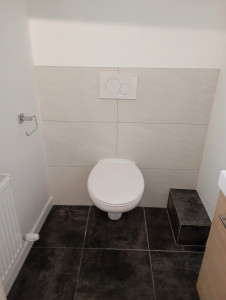 Photo de galerie - Création WC suspendu avec revêtement 