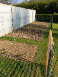 Photo de galerie - Coin potager personnel réalisé par mes soins.