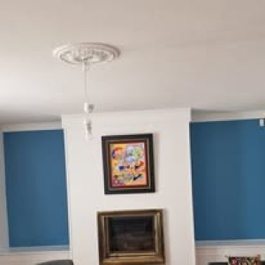 Photo de galerie - Peinture des murs / plafond / revetement de la cheminée