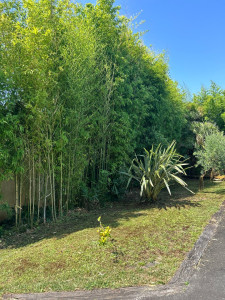 Photo de galerie - Jardinier