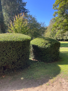 Photo de galerie - .