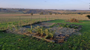Photo de galerie - Grand potager