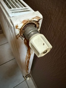 Photo de galerie - Changement de tête thermostatique avant 