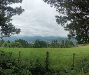 Photo de galerie - Jardinier