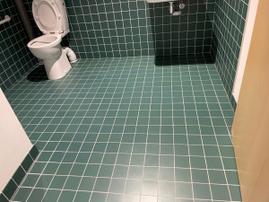 Photo de galerie - Remise en état des sanitaires ( après passage)