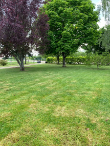 Photo de galerie - Tonte