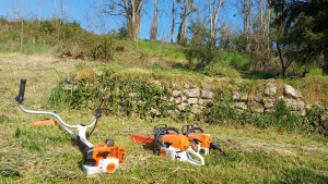 Photo de galerie - Debroussaillage et abattage 