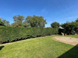 Photo de galerie - Taille de haies et d'arbustes