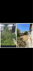 Photo de galerie - Remise en état complète d’un jardin très envahi par la végétation : débroussaillage, taille et coupe des arbres et arbustes, nettoyage du terrain, ramassage et évacuation des déchets verts. Résultat avant/après.