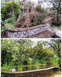 Photo de galerie - Paysagiste - Aménagement du jardin