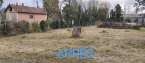 Photo de galerie - Débroussaillage et taille d'arbustes 