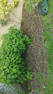 Photo de galerie - Après 