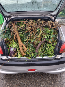 Photo de galerie - Évacuation déchets - Gravats