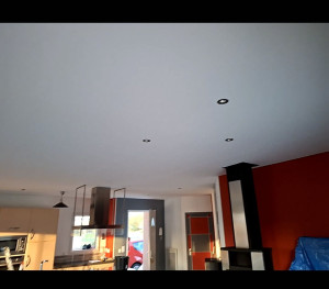 Photo de galerie - Mise en peinture d'un grand plafond . 