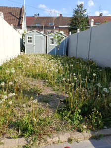 Photo de galerie - Jardin avant travaux 
