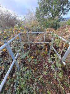 Photo de galerie - Paysagiste - Aménagement du jardin