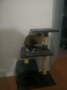 Photo de galerie - J'ai un diplôme accompagnement éducatif et j'ai pas mal de expérience avec les personnes âgées