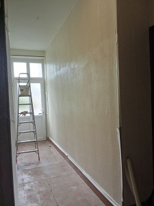 Photo de galerie - Couloir commun murs en peinture ?