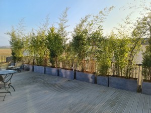 Photo de galerie - Paysagiste - Aménagement du jardin