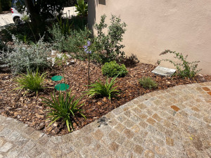 Photo de galerie - Création de massif 