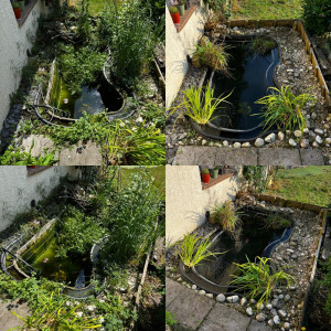 Photo de galerie - Paysagiste - Aménagement du jardin