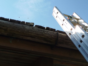 Photo de galerie - Désinsectiseur (Camping)