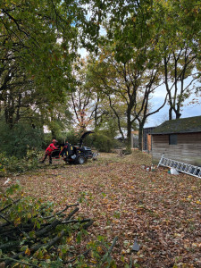 Photo de galerie - Broyage de branche laissé sur place 